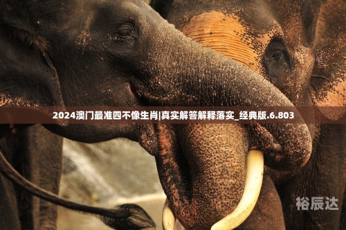 今期四不像生肖图必中一肖今期四不像生肖图今晚揭晓