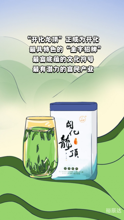 开化龙顶开化龙顶，品味独特的茶文化-第3张图片