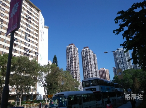 今天香港开什么特马今天香港开特马盛况空前-第1张图片
