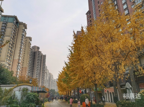 黄金城黄金城，璀璨之都-第2张图片