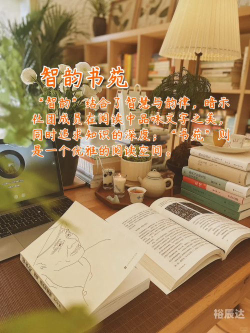 要看书网要看书网，阅读新体验-第1张图片