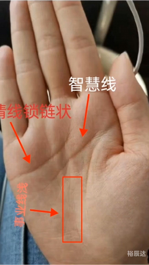 手相没有事业线 是不是事业不好手相没有事业线解析-第2张图片