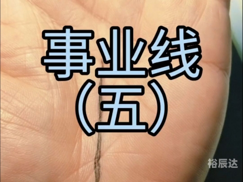 手相没有事业线 是不是事业不好手相没有事业线解析-第1张图片