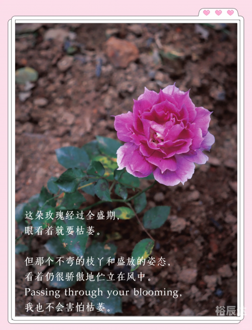 微小女友微小女友-第2张图片
