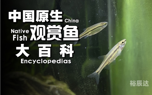 小鱼赚钱小鱼赚钱，轻松实现财富自由之路-第2张图片