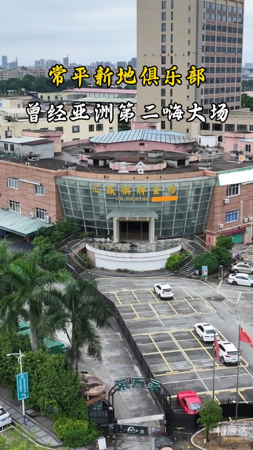 新东泰事件概述