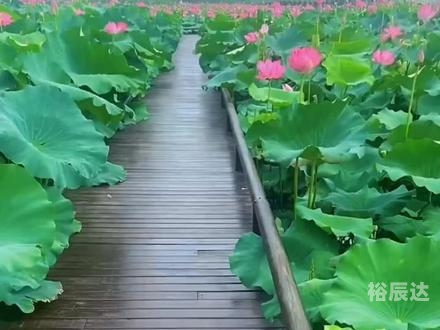 五家渠旅游五家渠旅游攻略-第2张图片