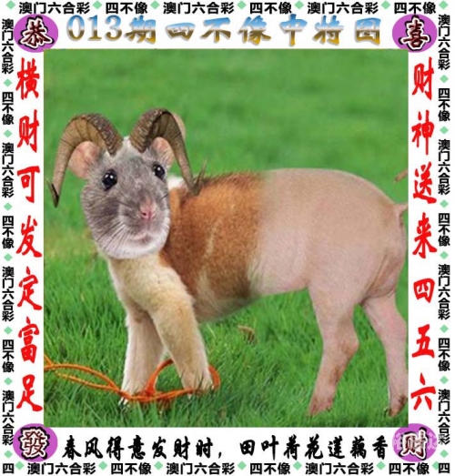 一肖一码100%中奖澳门黄大仙一肖一码100%中奖，探寻澳门黄大仙的神秘魅力