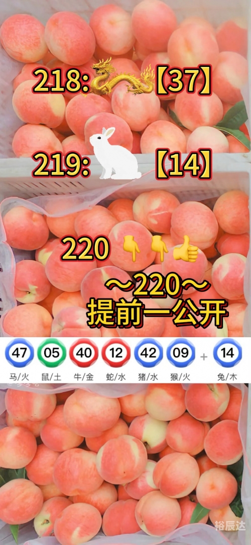 新澳门最近开奖记录查询表新澳门最近开奖记录查询-第3张图片