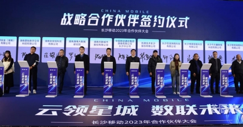 星城在线，数字时代的璀璨明珠-第2张图片