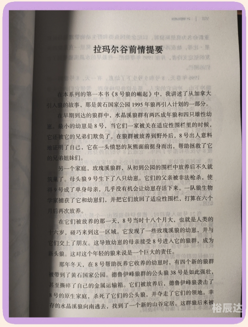 广西狼论坛，探寻狼的神秘世界-第3张图片