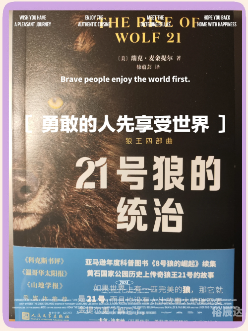广西狼论坛，探寻狼的神秘世界-第2张图片