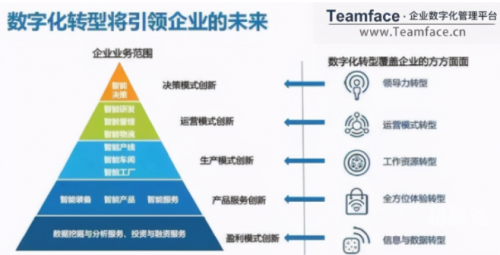 嘟嘟官网嘟嘟官网，引领数字化时代的新篇章