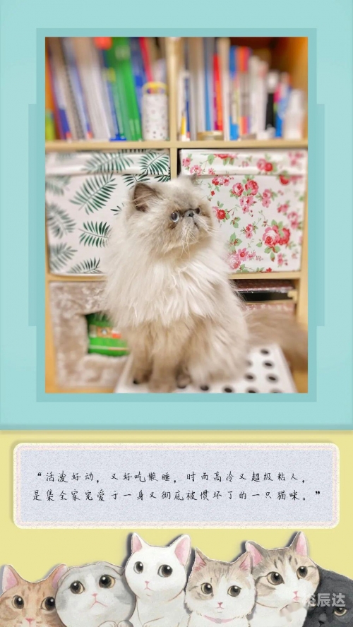 快猫最新地址网址快猫最新地址网址大全