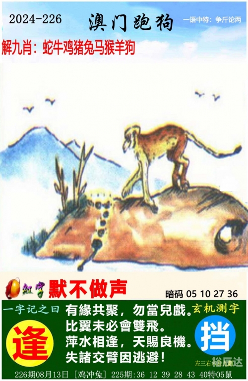 2024年新奥门管家婆资料概述