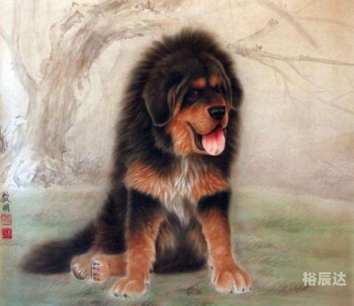 逗留不进是什么生肖逗留不进是什么生肖-第2张图片