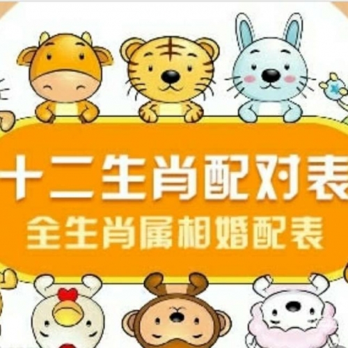 逗留不进是什么生肖逗留不进是什么生肖-第3张图片