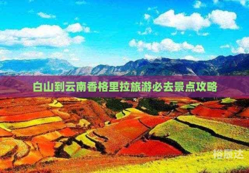白山娱乐场所哪里好玩白山娱乐，城市文化的新名片