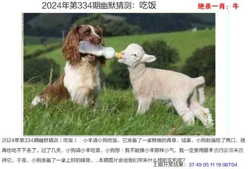 2024澳门天天六开彩免费图2024澳门天天六开彩免费图揭秘-第1张图片