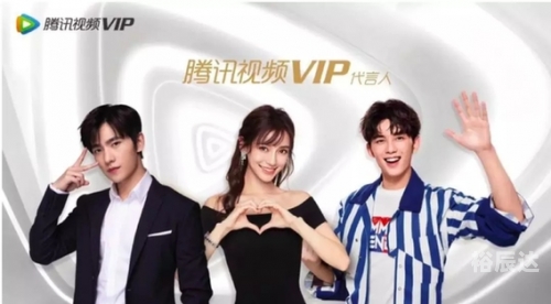 博狗网，优质服务与VIP体验的完美结合-第1张图片