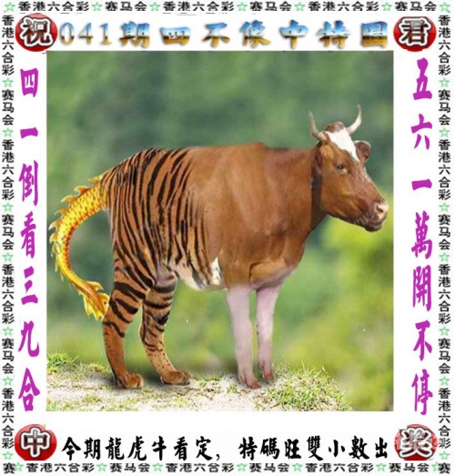 澳门必出一肖一码100准澳门必出一肖一码100准-第1张图片