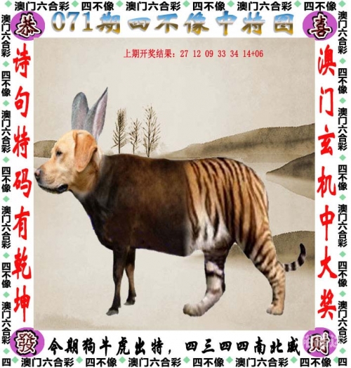 管家婆六肖中特网，神秘与实用的数字世界-第1张图片