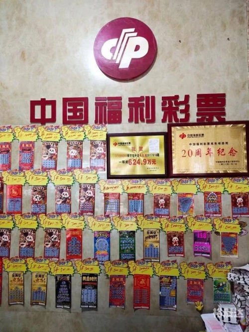 2023一码一肖，精准预测与幸运之选