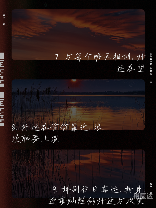 246天天好彩(5334cc)——把握未来，好运连连-第2张图片