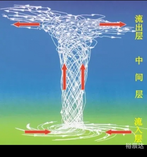 白虎网白虎网，守护自然的神秘力量