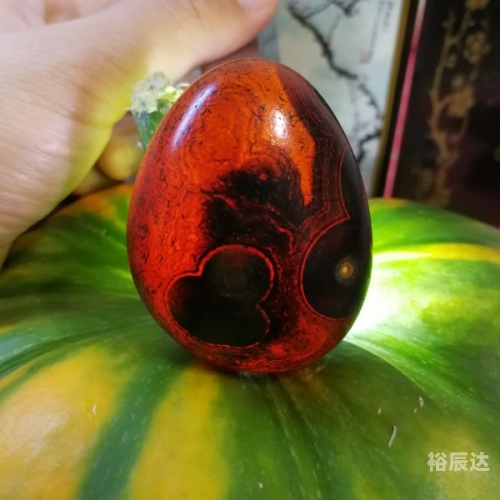 香港内部马料免费资料一摇钱树香港内部马料免费资料介绍-第1张图片