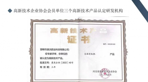 红叶高手联盟，探索卓越之路