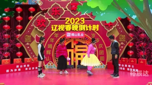 2014辽视春晚倒计时辽视春晚2024节目单表揭秘-第3张图片