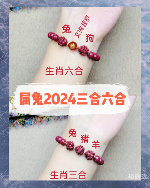 2023新版生肖卡2023新版生肖卡，开启新一年的神秘魅力
