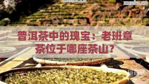中国普洱茶网中国普洱茶，品味历史与文化的瑰宝-第1张图片