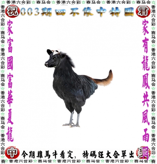 管家婆一马中特马管家婆一码中奖-第1张图片