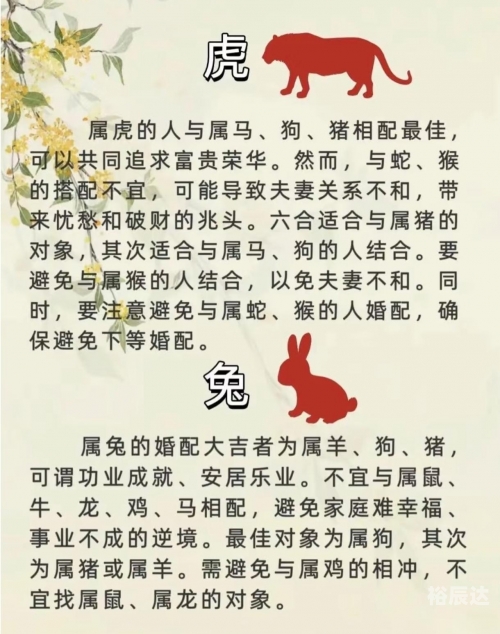 97年属牛女什么时候结婚最好97年属牛女动婚时间揭秘-第2张图片