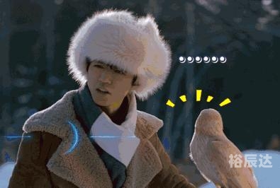中国鹰猎，探寻自然与精神的双重魅力-第2张图片