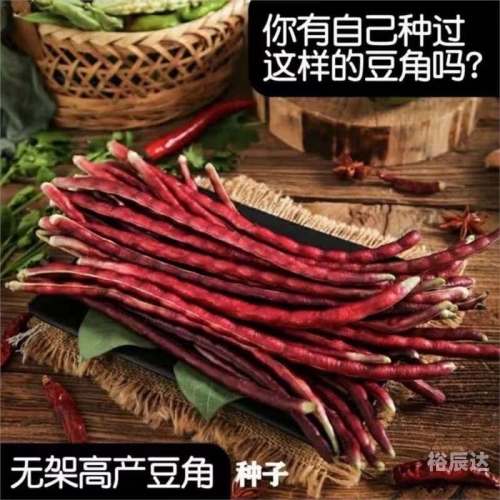 满地红