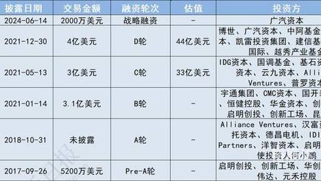 澳门精准资料精选资料及其准新澳精准资料期期精准，投资决策的关键因素