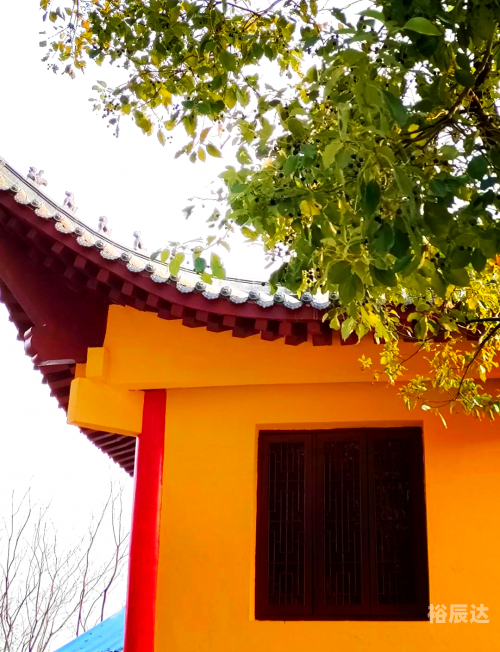 金马旅游团，探索美丽之旅-第2张图片