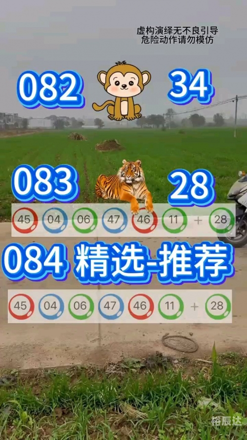 新澳精准资料期期精准，策略与展望