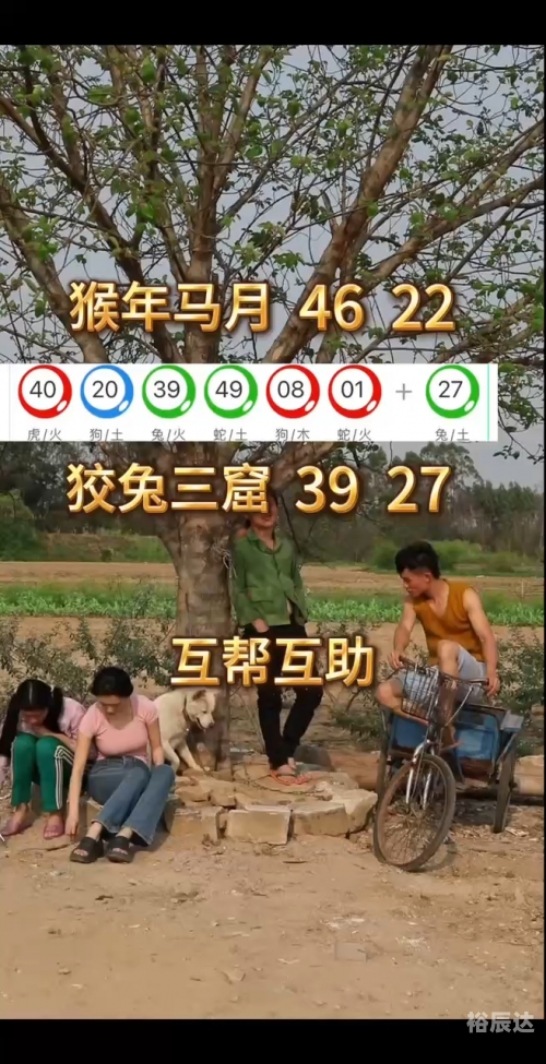 新澳精准资料期期精准，策略与展望-第2张图片