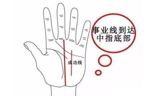 手相没有事业线手相没有事业线解析-第2张图片
