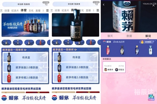 四肖中特王中王期，体育竞技的荣耀时刻