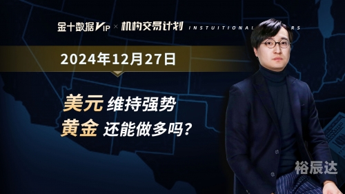 金十数据网，引领数据科技新篇章