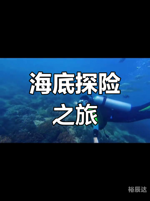 彩票程序彩票程序，揭开神秘面纱