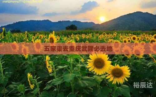 五家渠景点介绍