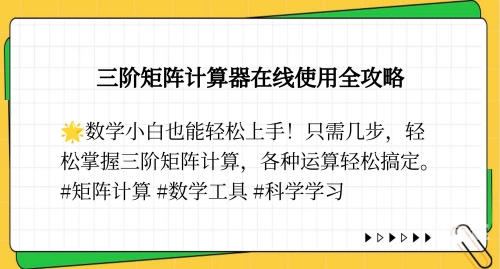 胆拖投注计算器，助您轻松掌握投注技巧-第2张图片