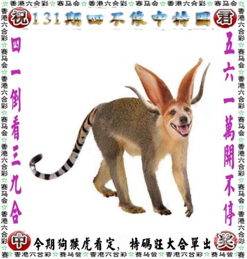 2023一肖一码100%中奖1月1日关键词，2023一肖一码、100%中-第1张图片