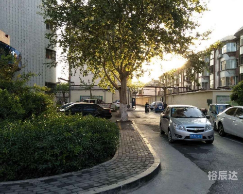 乐安论坛，探讨社区交流与信息共享的平台-第3张图片